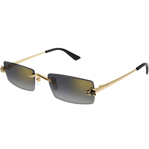 CARTIER CT0598S 001